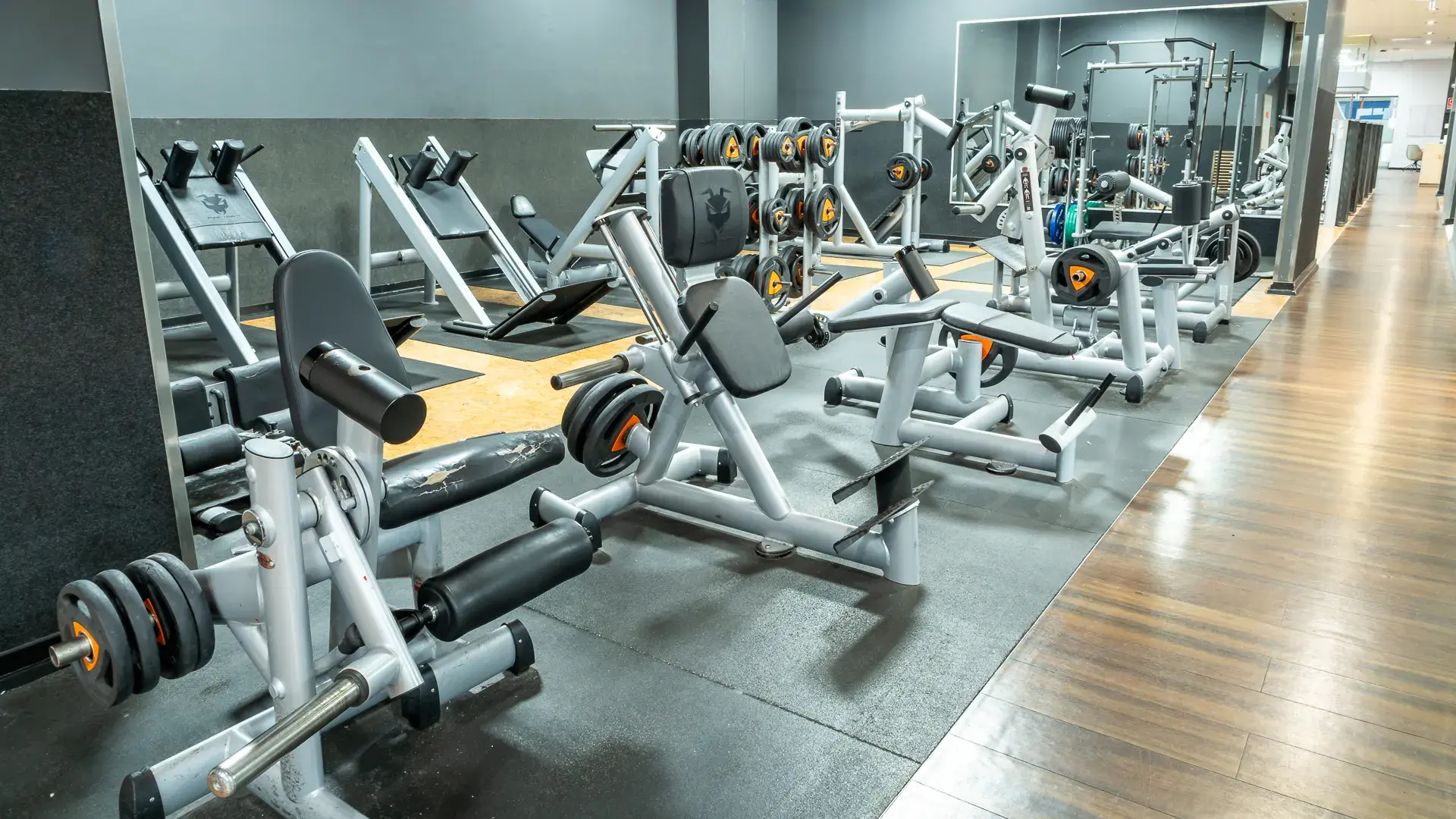 Galería de imágenes