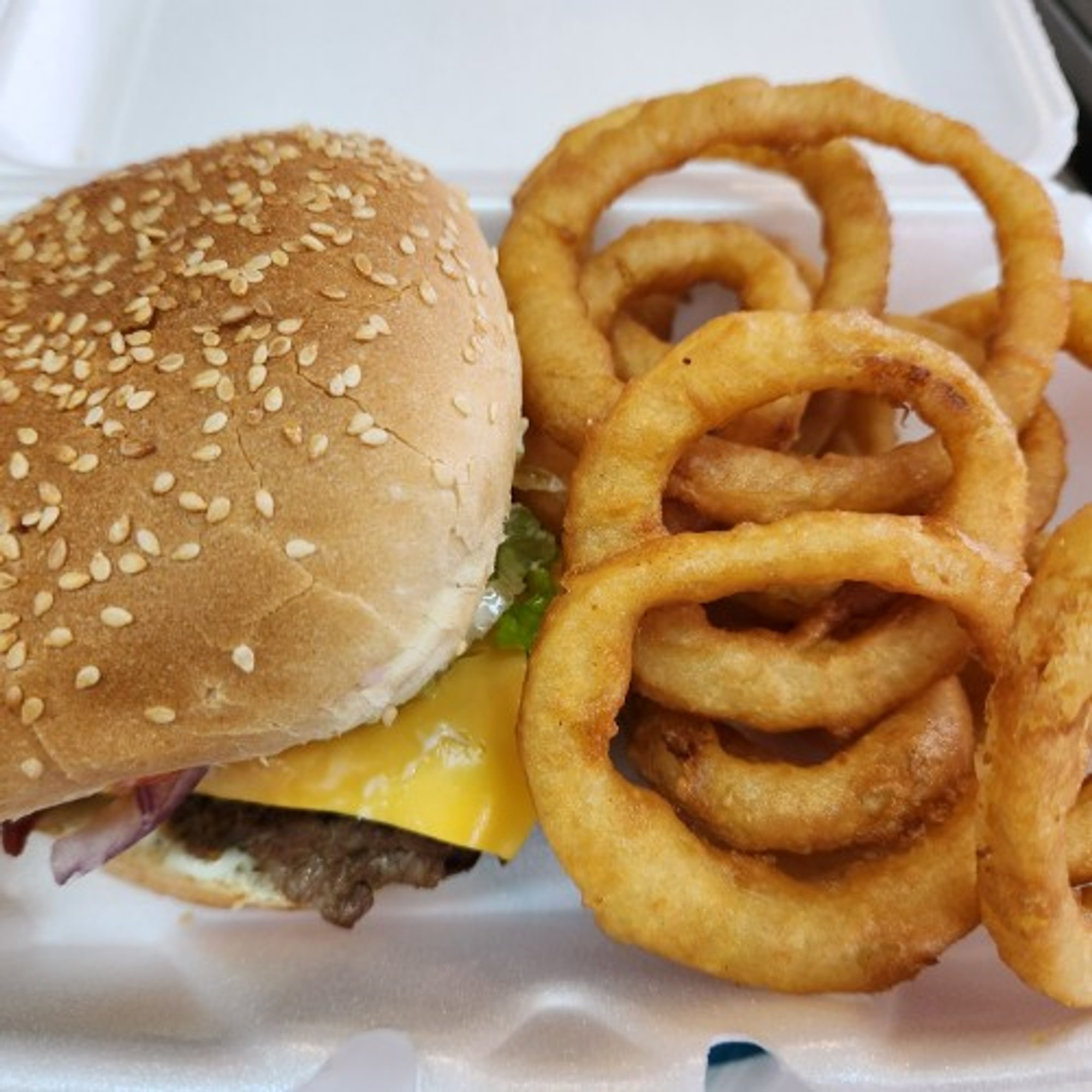 Cheeseburger & French Fries Basket