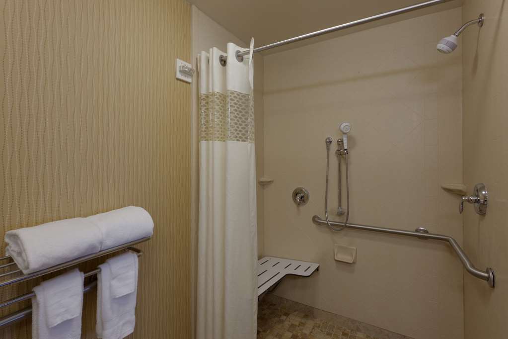 Hampton Inn Rochester-Webster Image