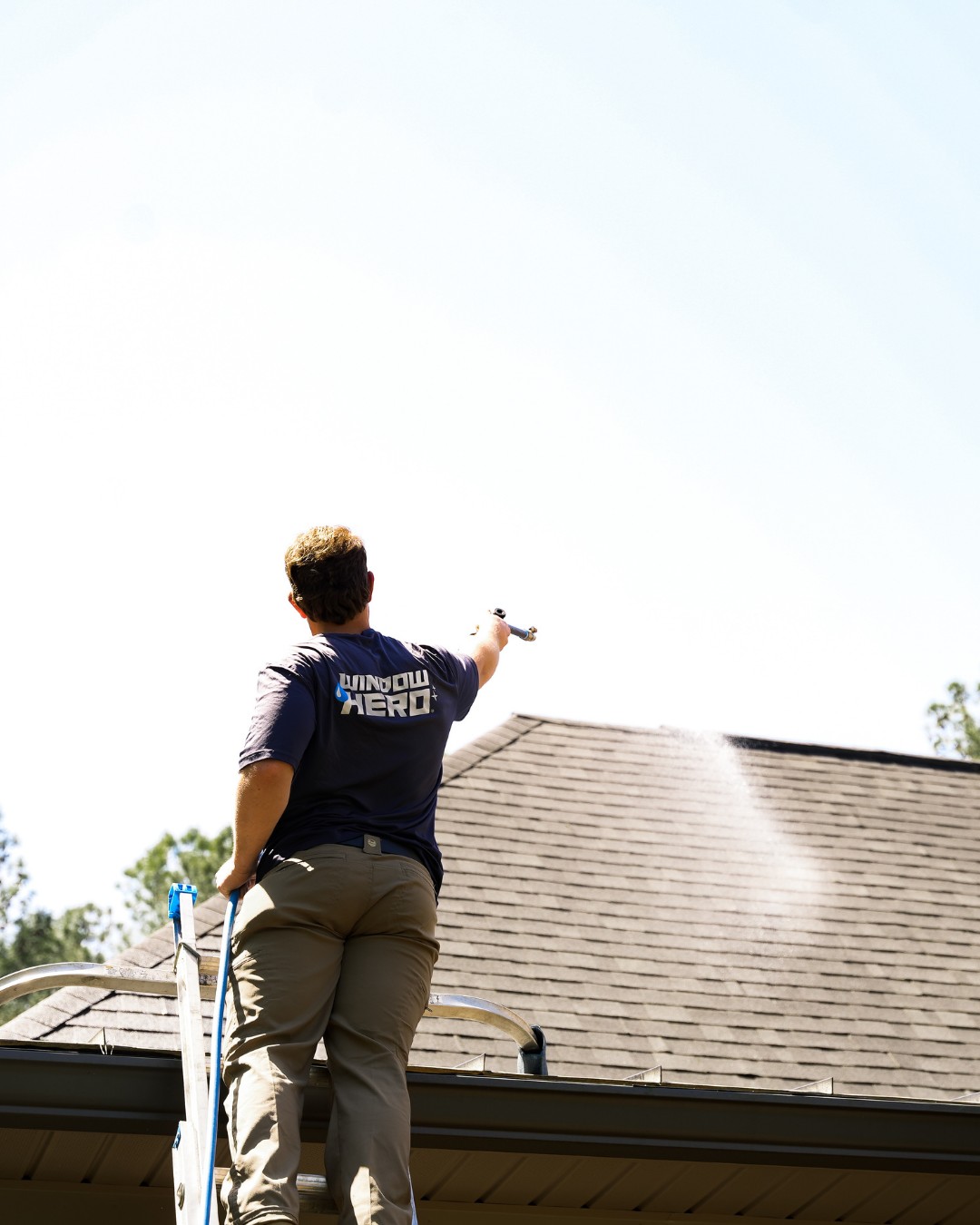 Window Hero Charlotte Image