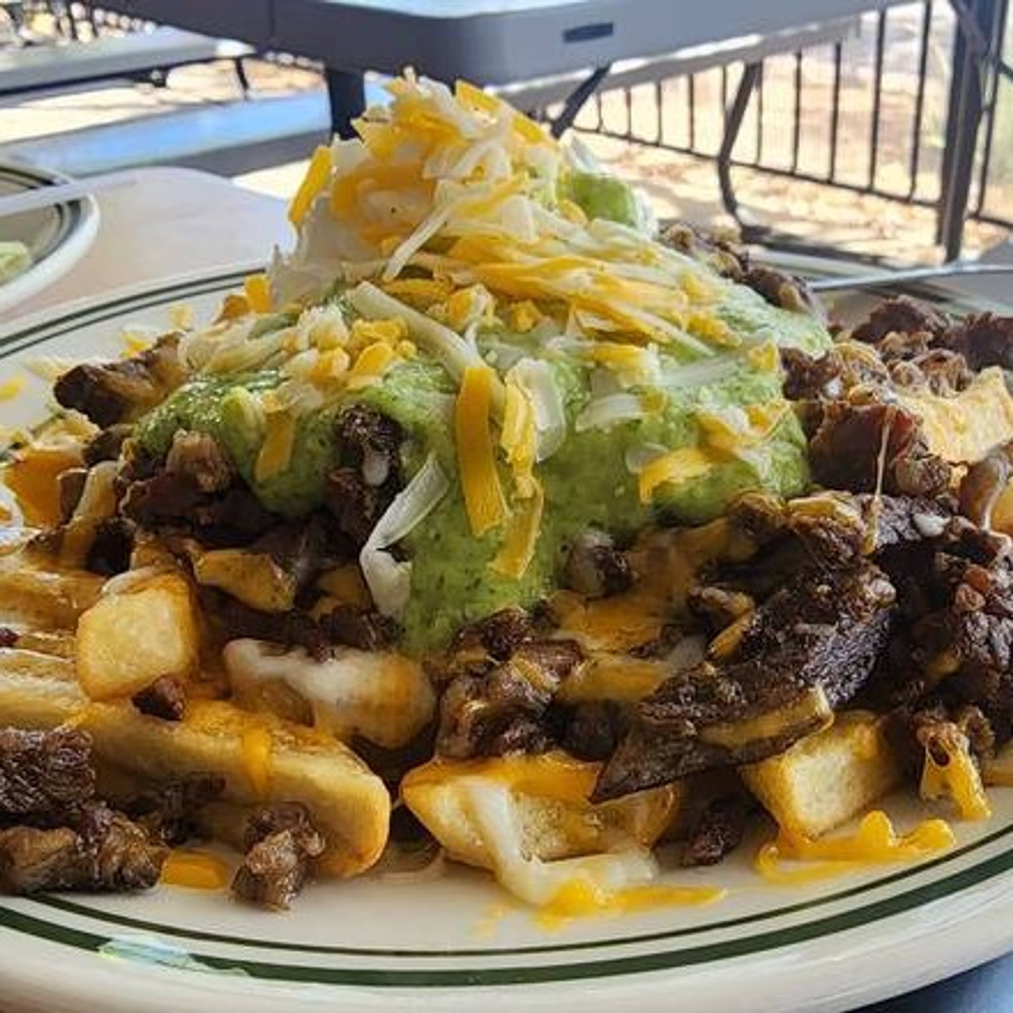 Carne Asada Fries