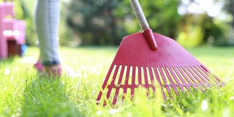 When Should I Start Spring Lawn Care?