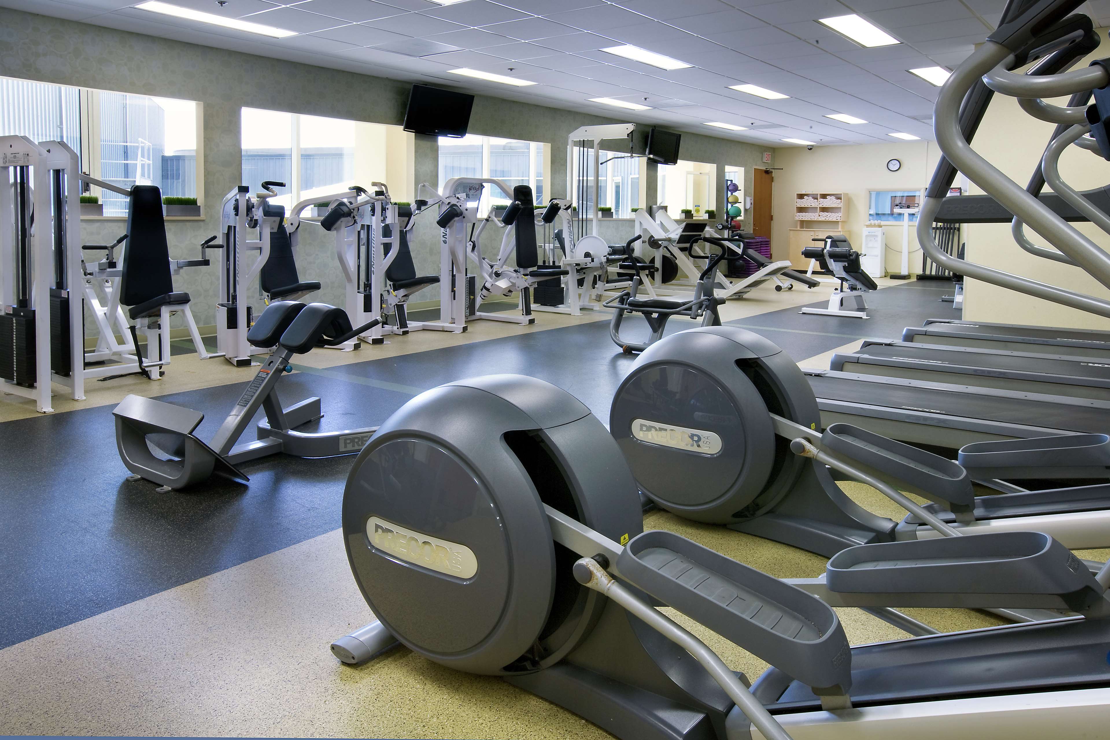 Health club  fitness center  gym