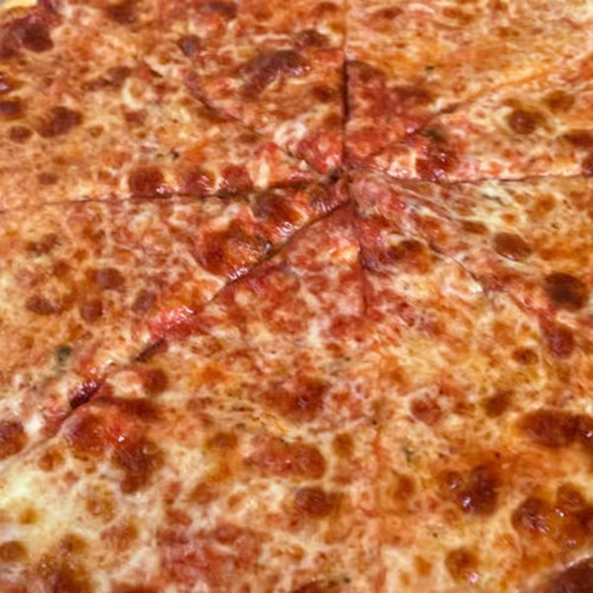 Plain Pizza