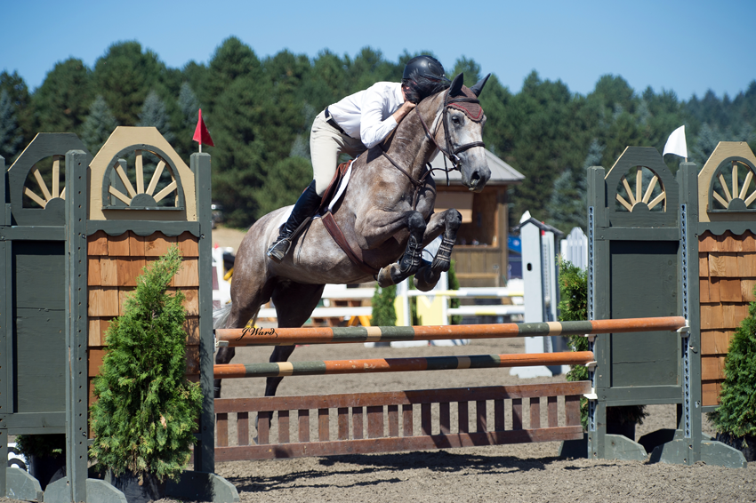 Countryside Equine Veterinary Service Photo