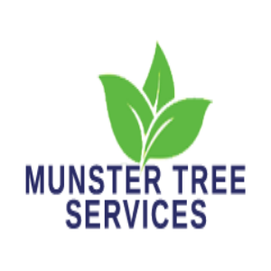 Munster Tree Services