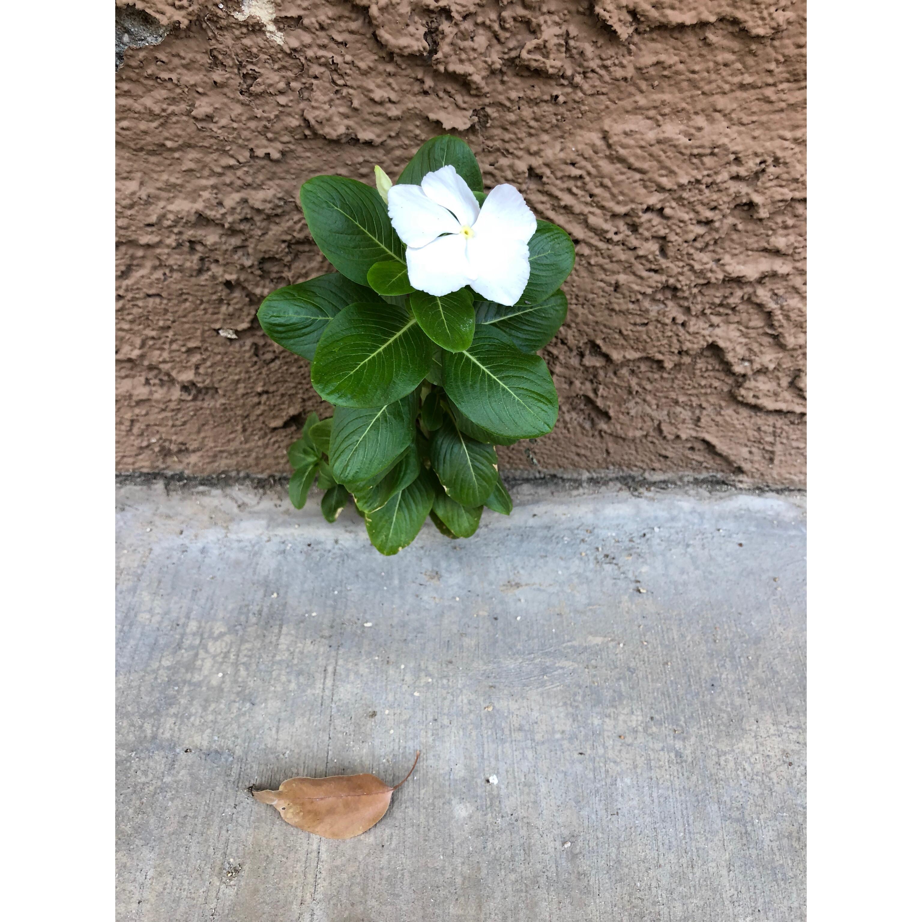 Moller’s Garden Center Image