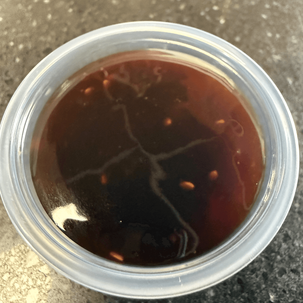 Teriyaki Sauce