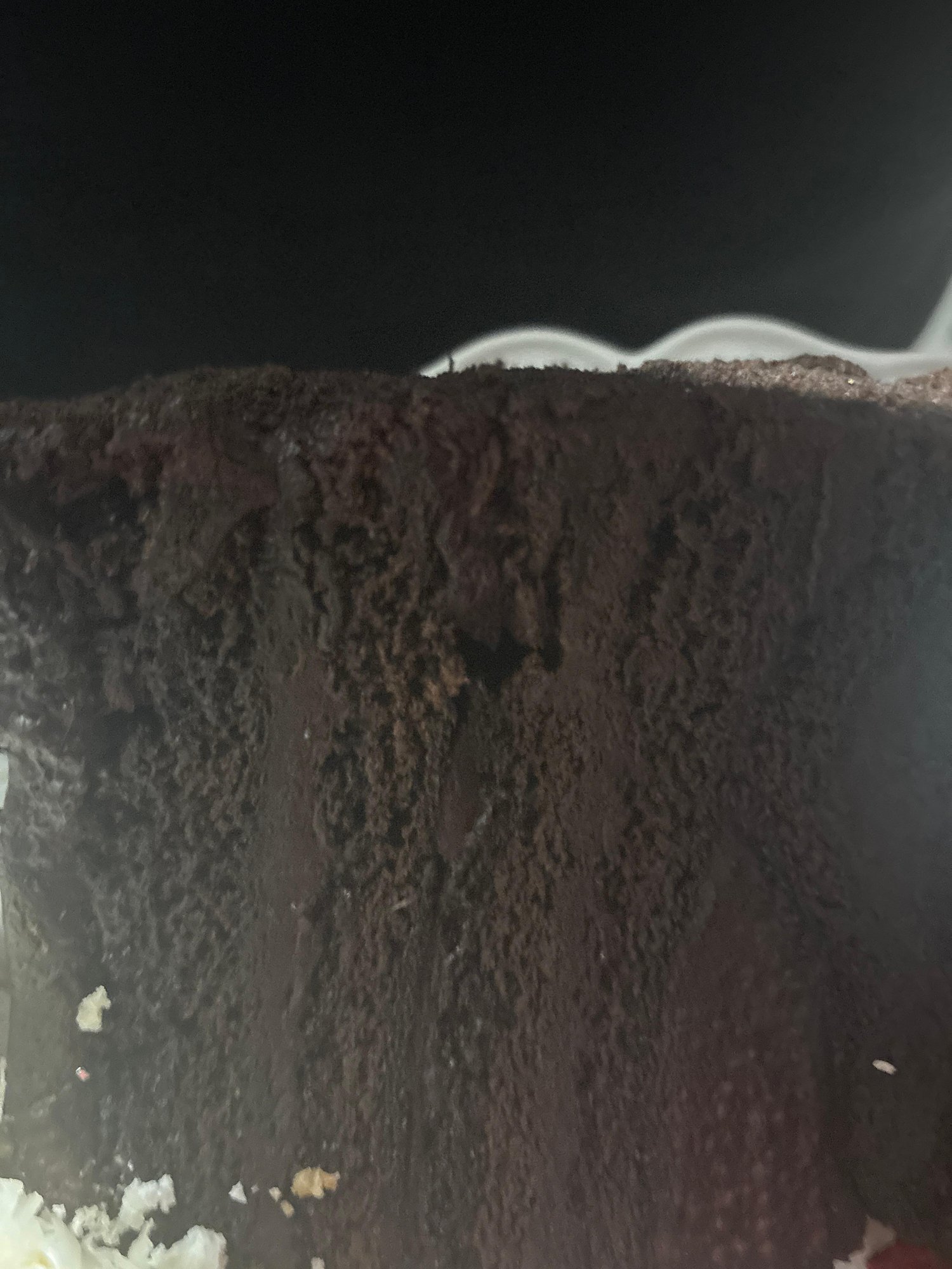 Chocolate Fudge Cake