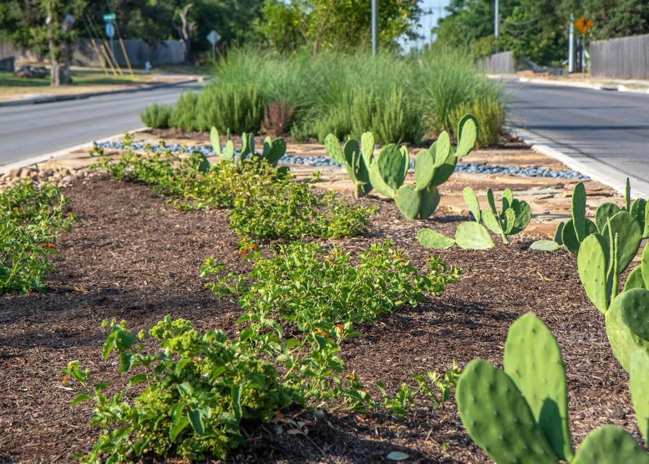 Maldonado Nursery & Landscaping, Inc. Image