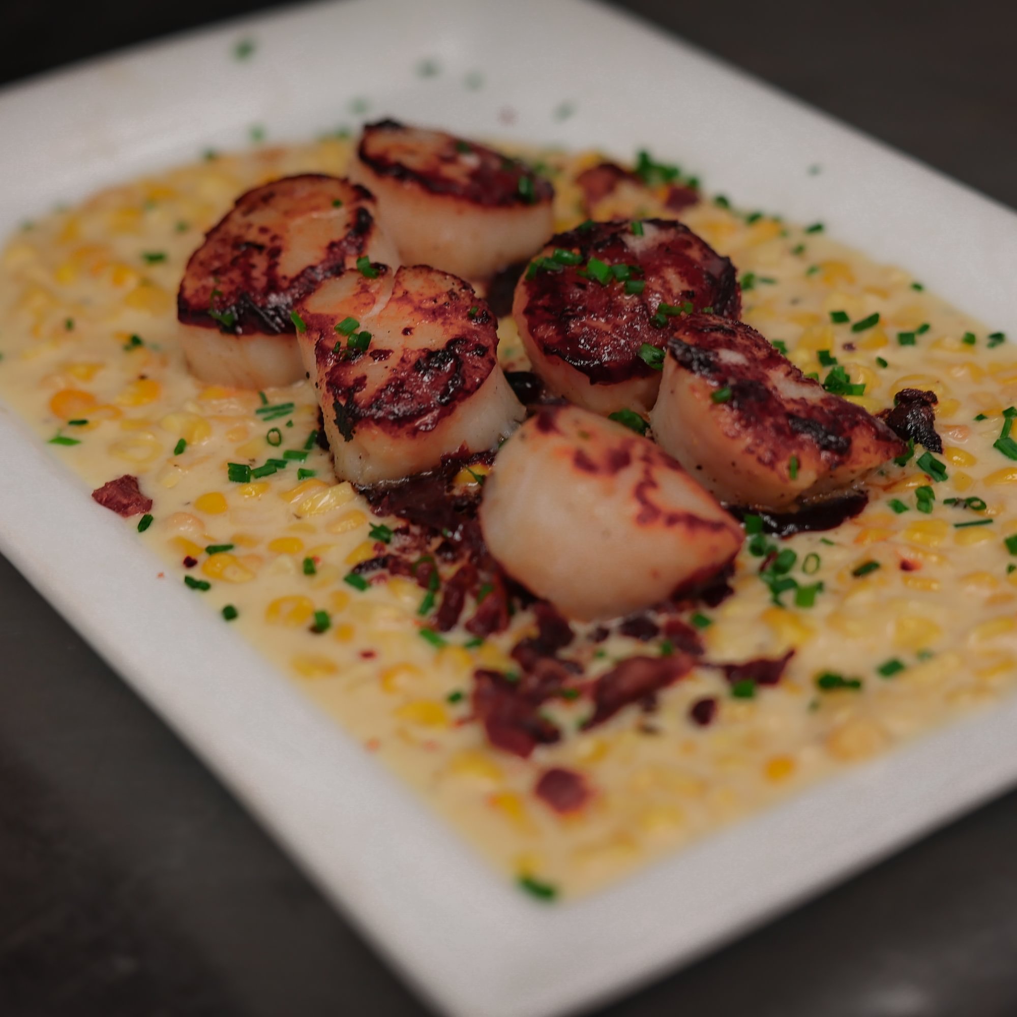 Scallops and Bacon (6)