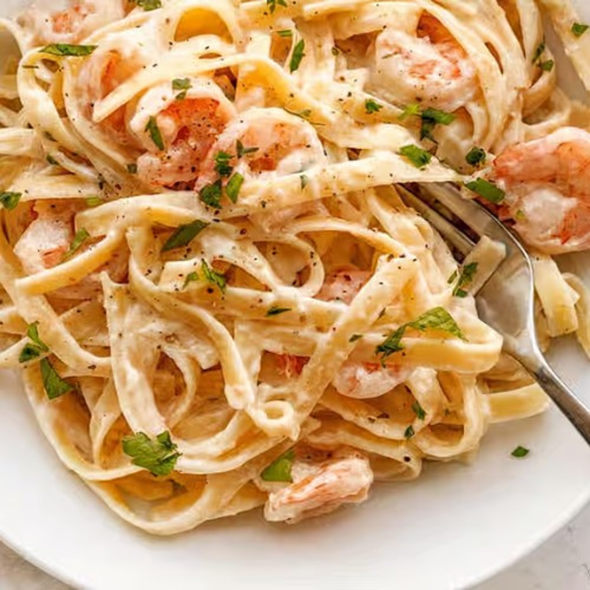 Alfredo Pasta Shrimp