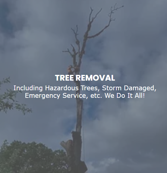 Advanced Tree Management Image