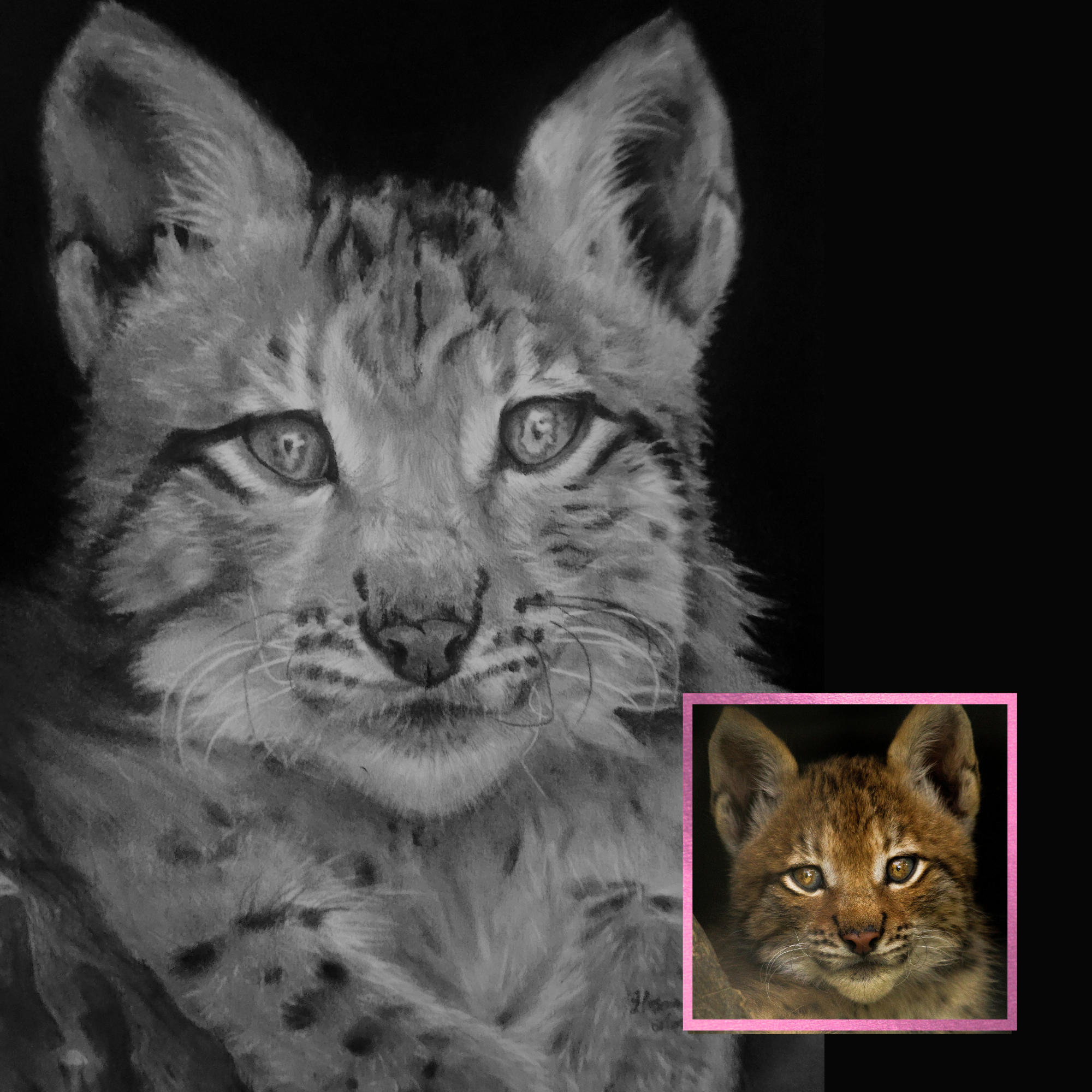 Honor the Moment Image