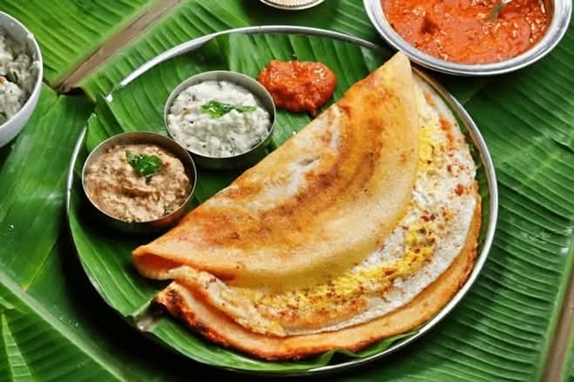 Protein Dosa