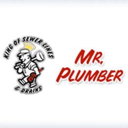 Mr. Plumber Photo