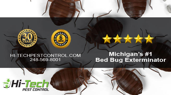 Images Hi-Tech Pest Control, LLC