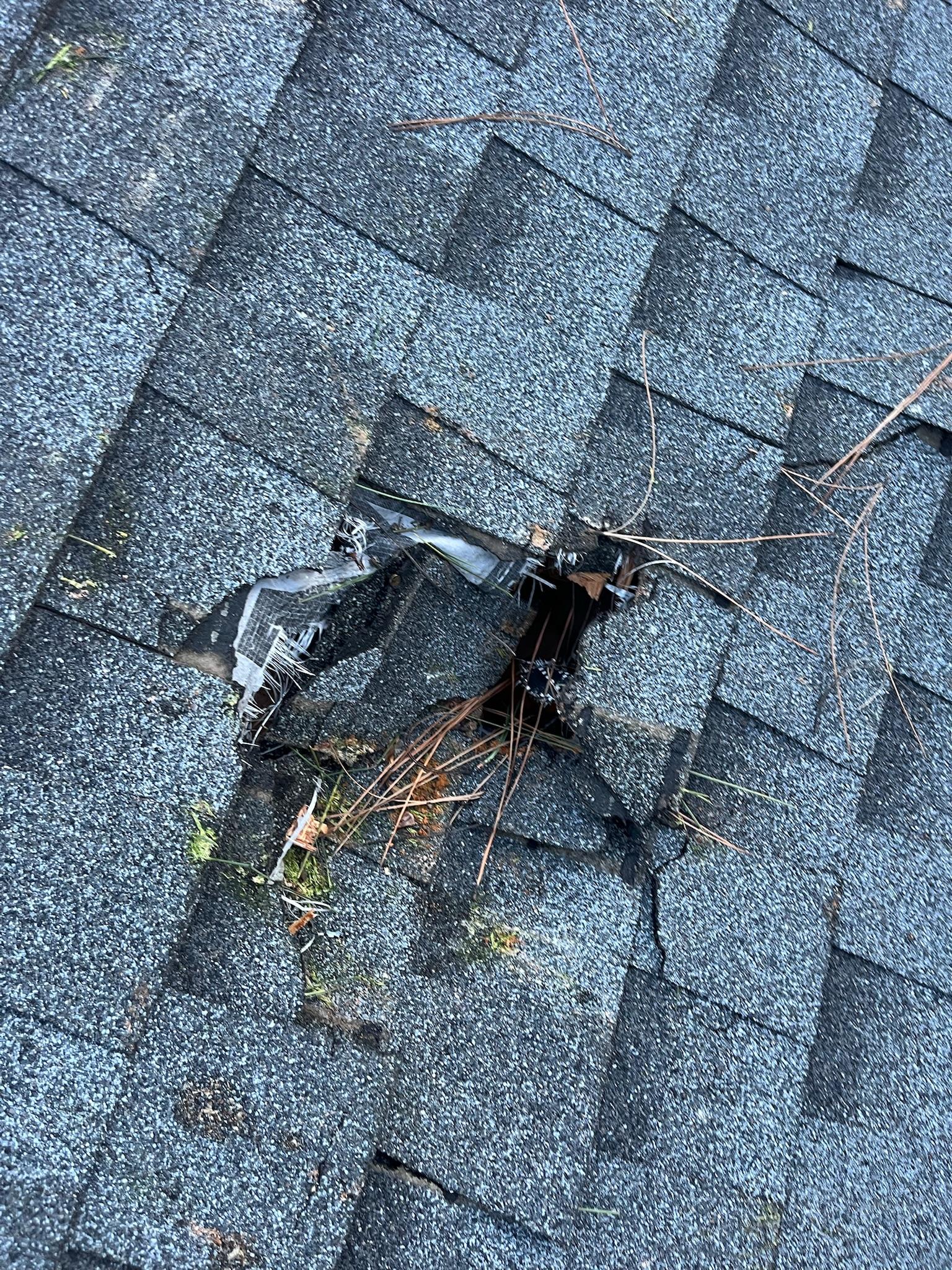 Timber Valley Tree Co. Image