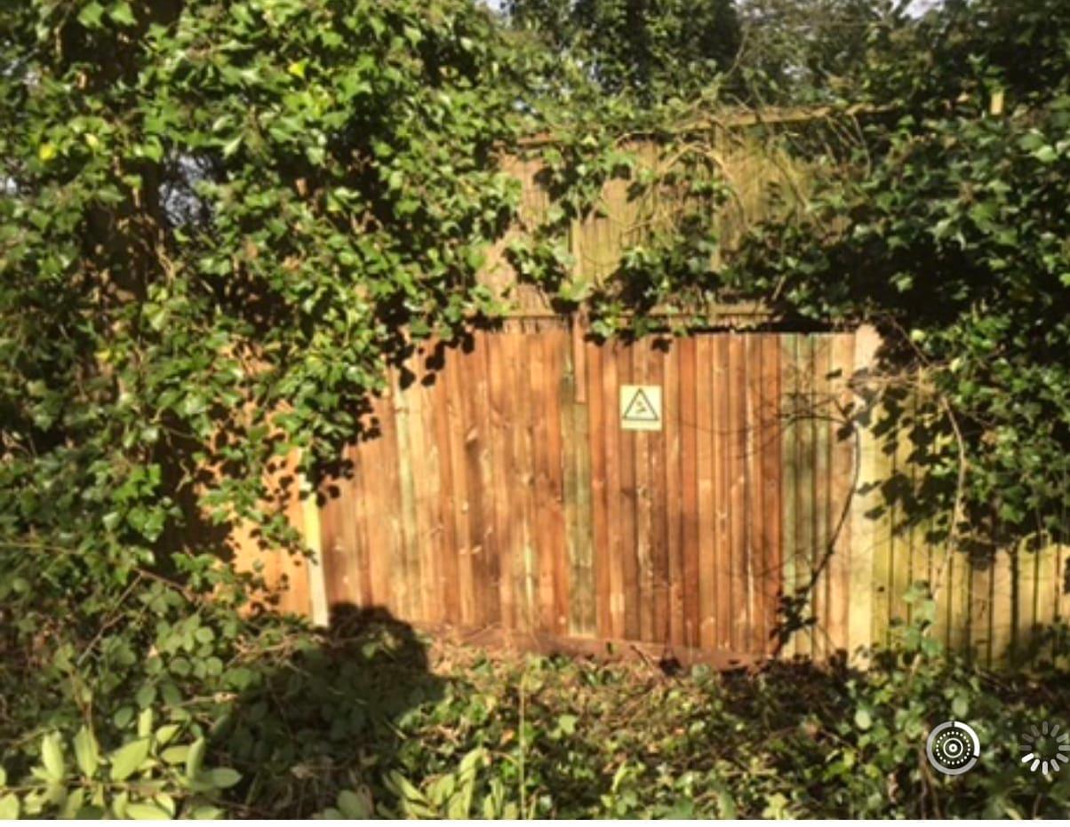 Images Tree & Garden Services