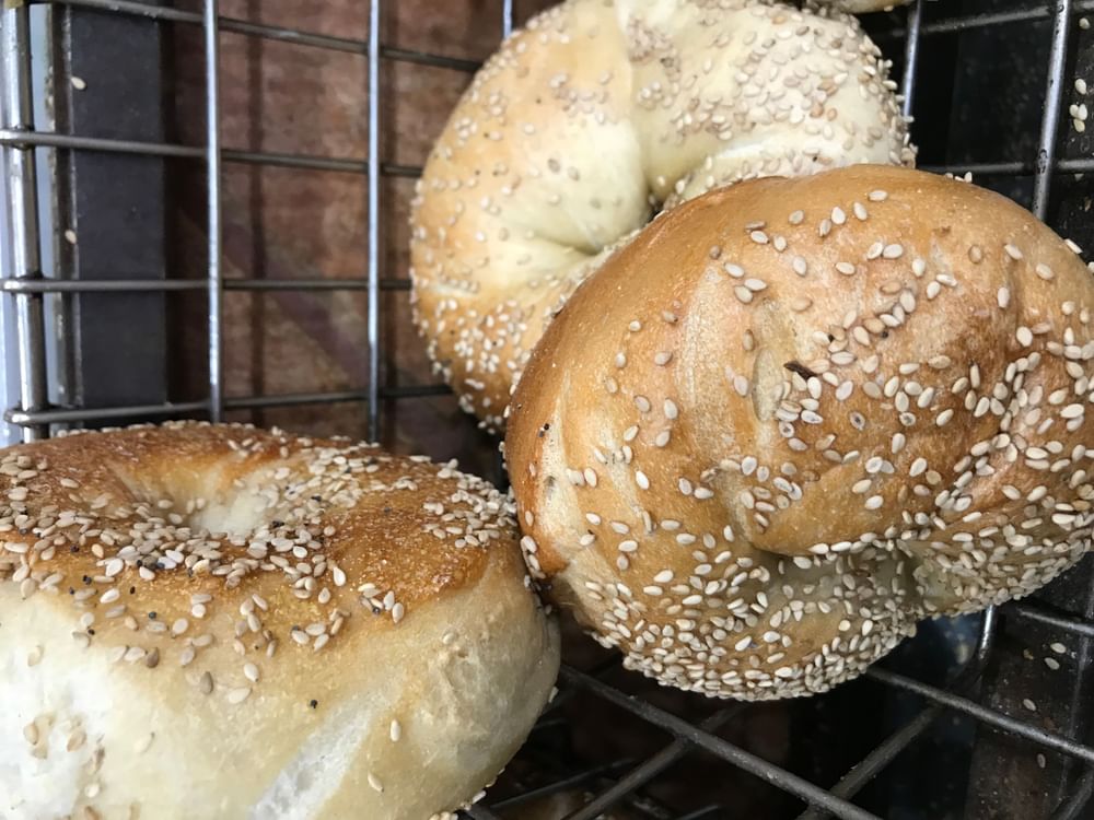 Sesame Bagel