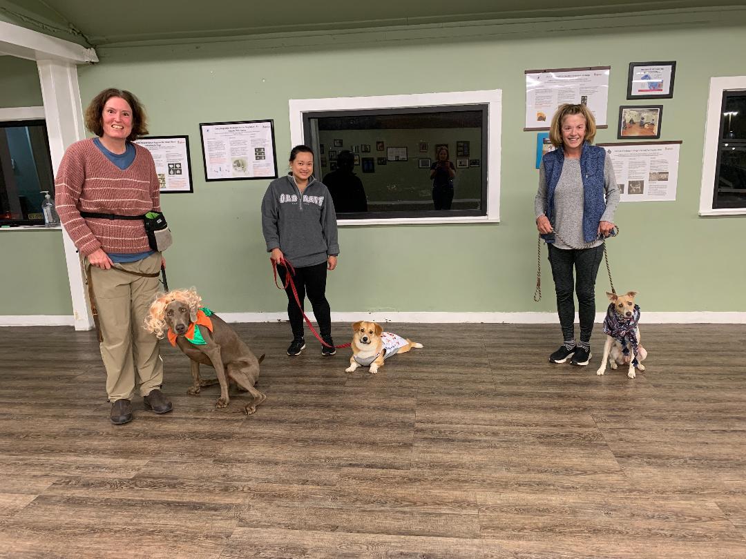 Comprehensive Pet Therapy, Inc. Image