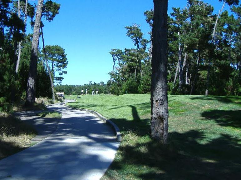 Higher Consciousness Hypnotherapy Photo