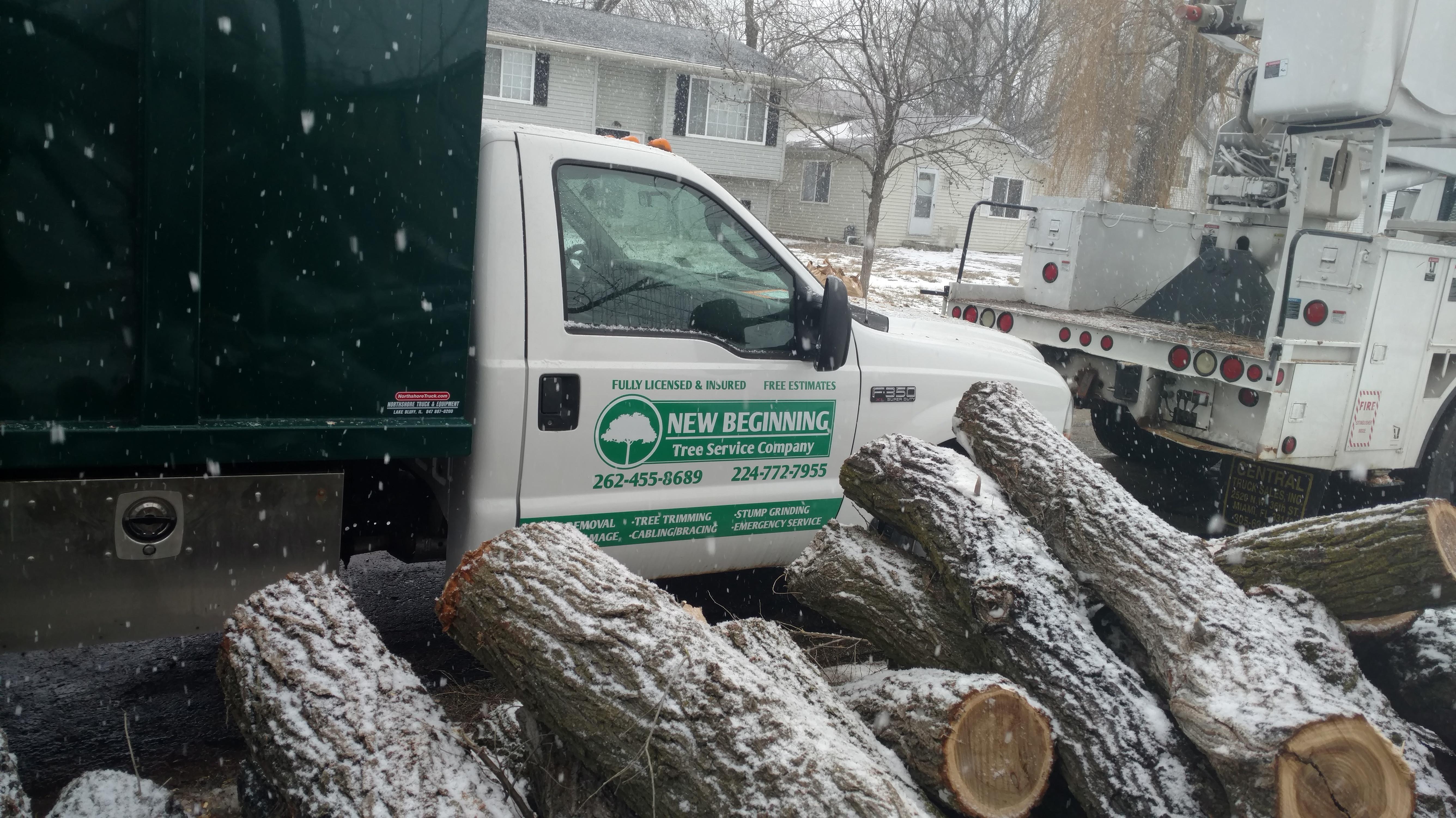 New Beginning Tree Service Company Image