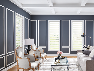 Our Sheer Shades can do so much for your living spaces! Use them to filter the light-and enjoy the fabulous striped look that goes with so many decor styles!  BudgetBlindsPointLoma  SheerShades  FreeConsultation  windowtreatments