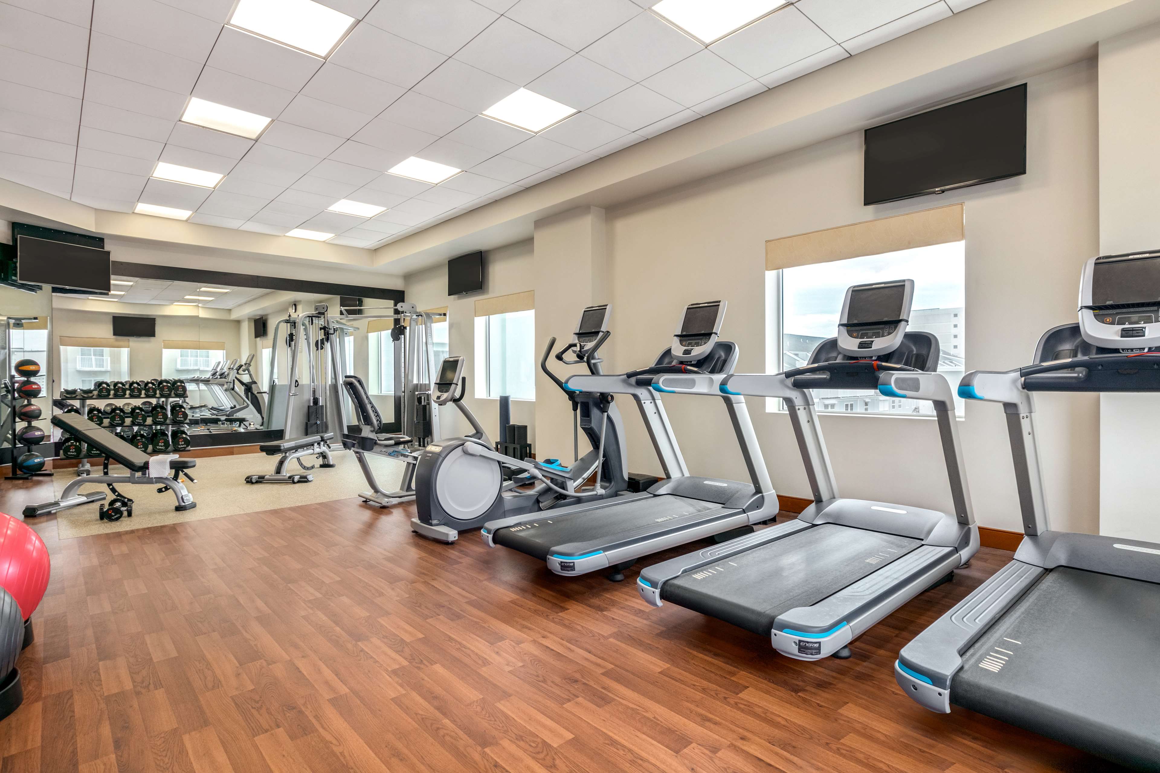 Health club  fitness center  gym