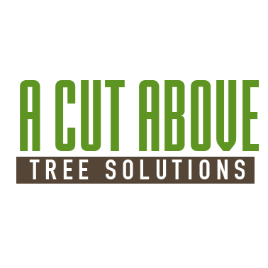 A Cut Above Tree Solutions