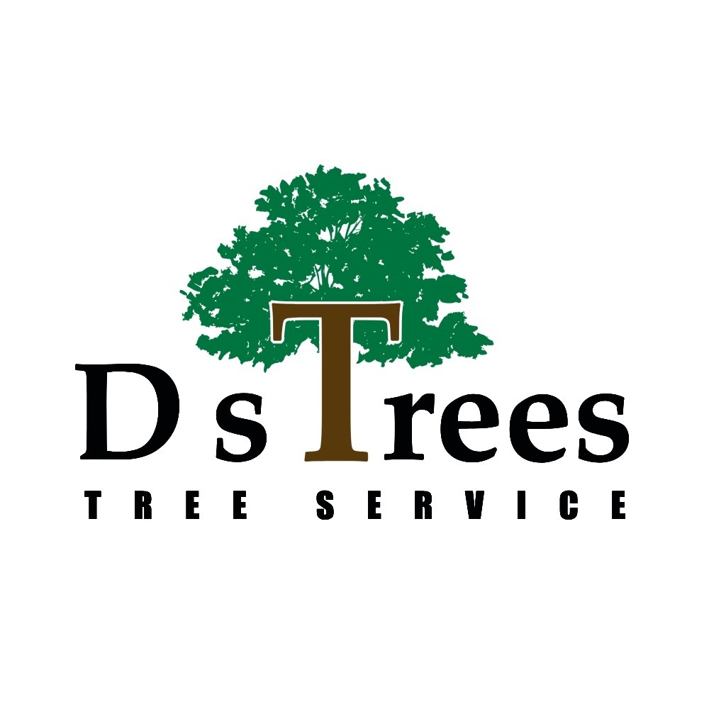 D's Trees Logo