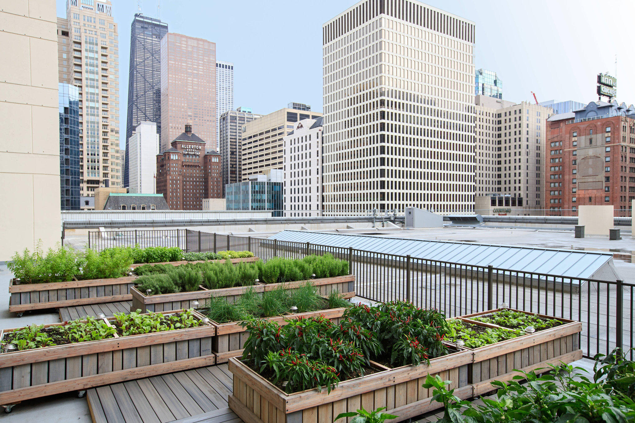 Chicago Marriott Downtown Magnificent Mile Photo