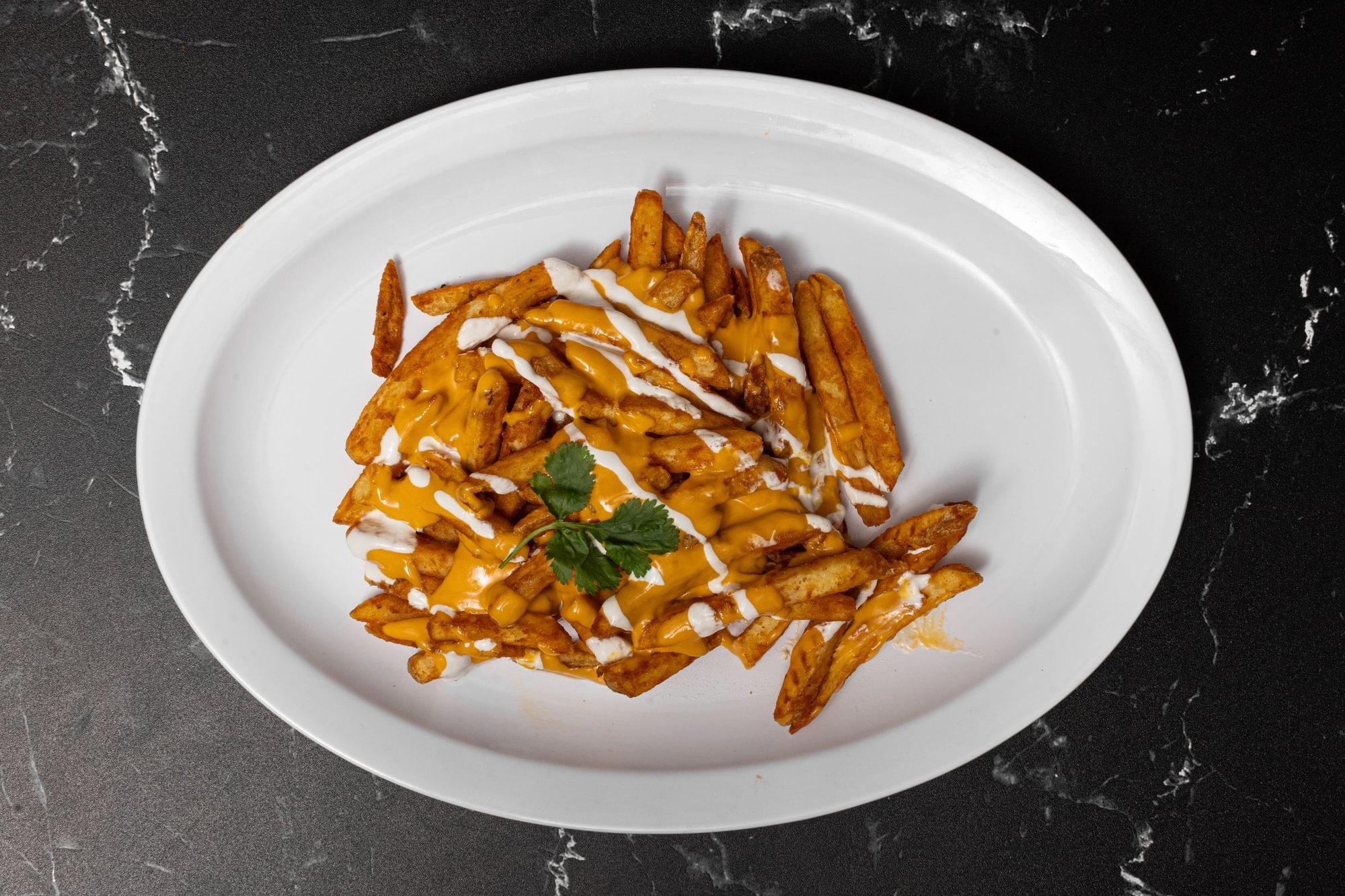 Mexican Fiesta Cheesy Fries