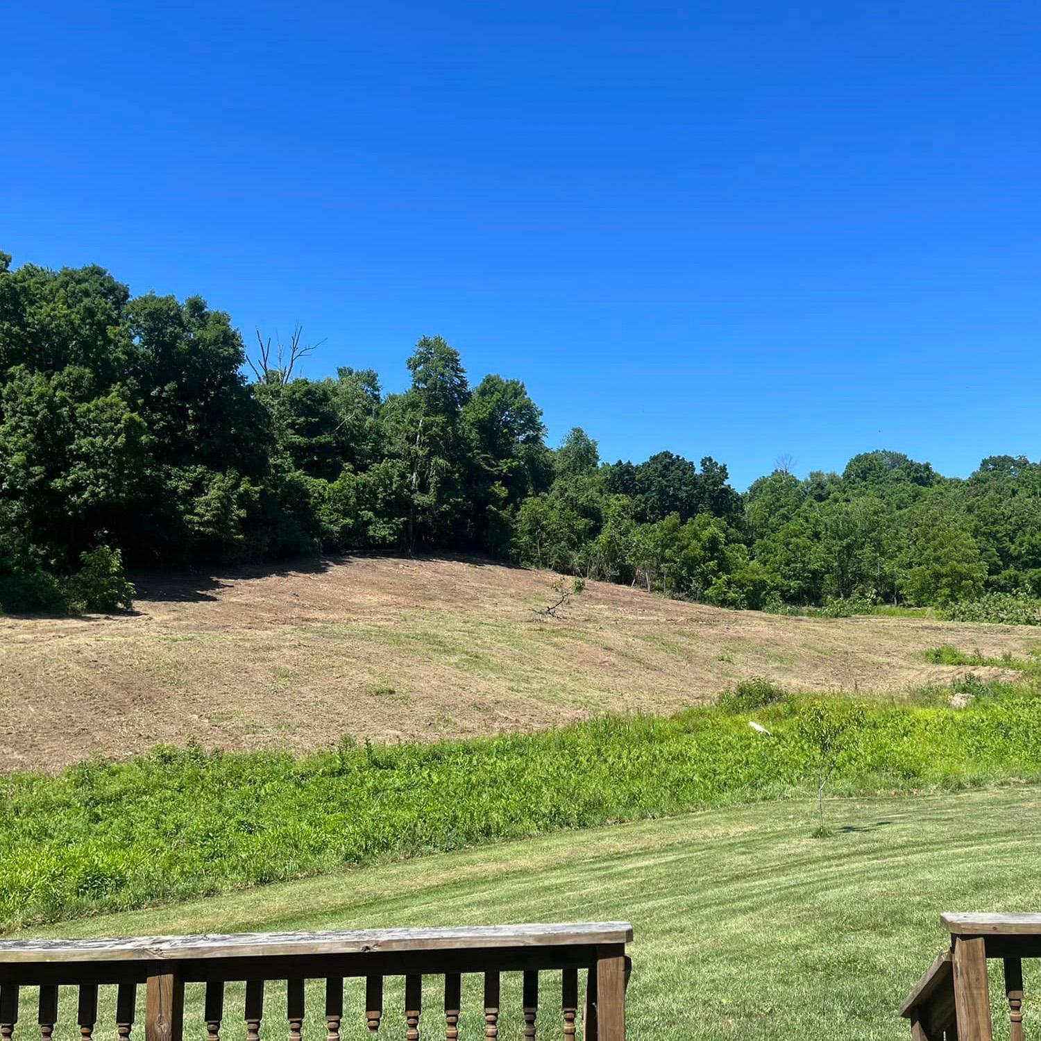 Yarger’s Forestry Services Image