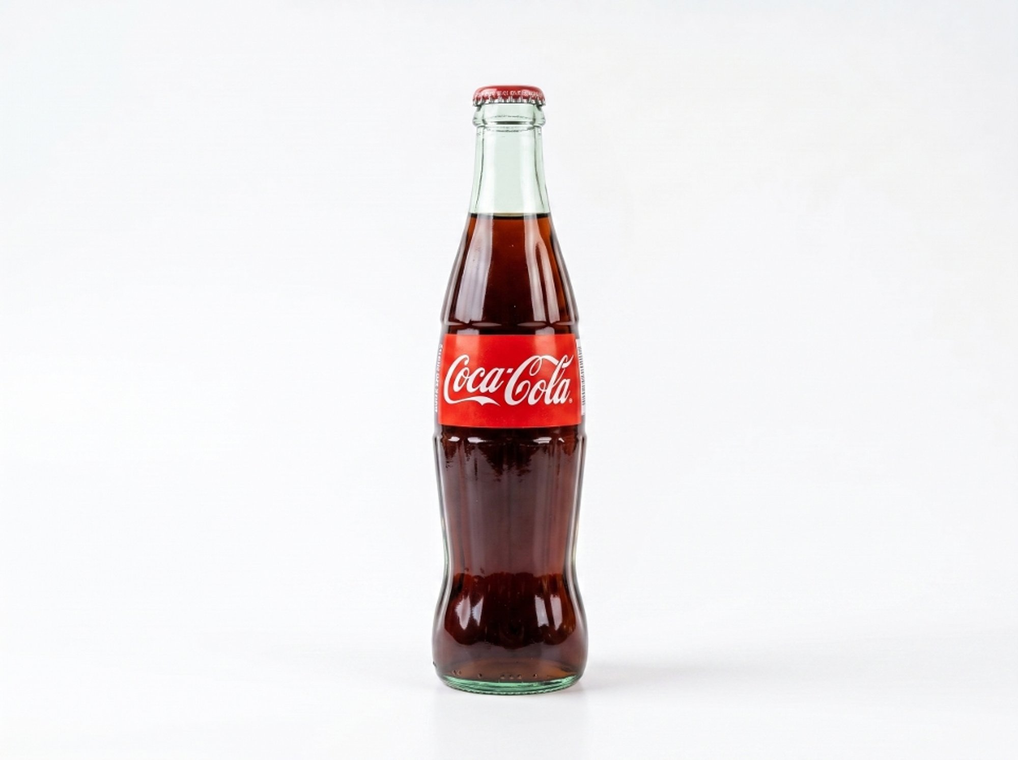 Coca-Cola en Botella de Plástico (Coca-Cola in a Plastic Bottle)