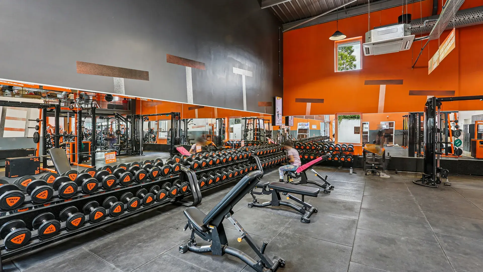 Miniature de la galerie