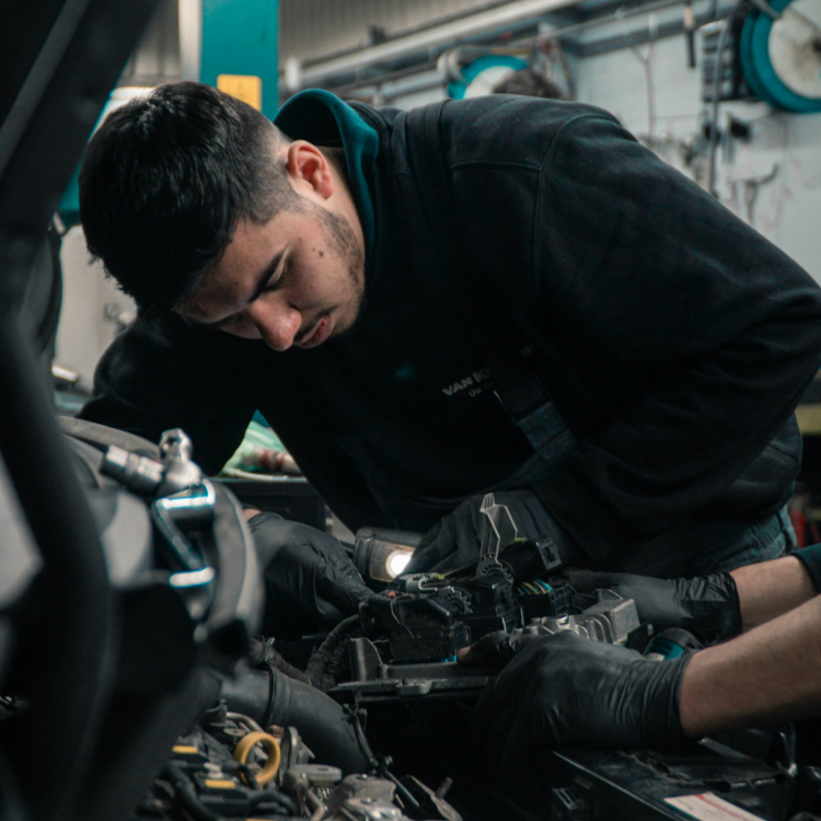 Galería en miniatura