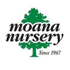 Moana Nursery