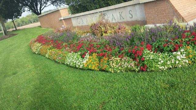 Design Landscaping & Tree Service Image