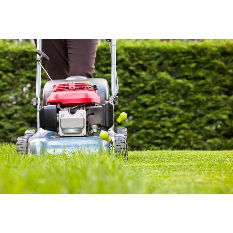 C &amp; F Groundskeeping LLC Logo