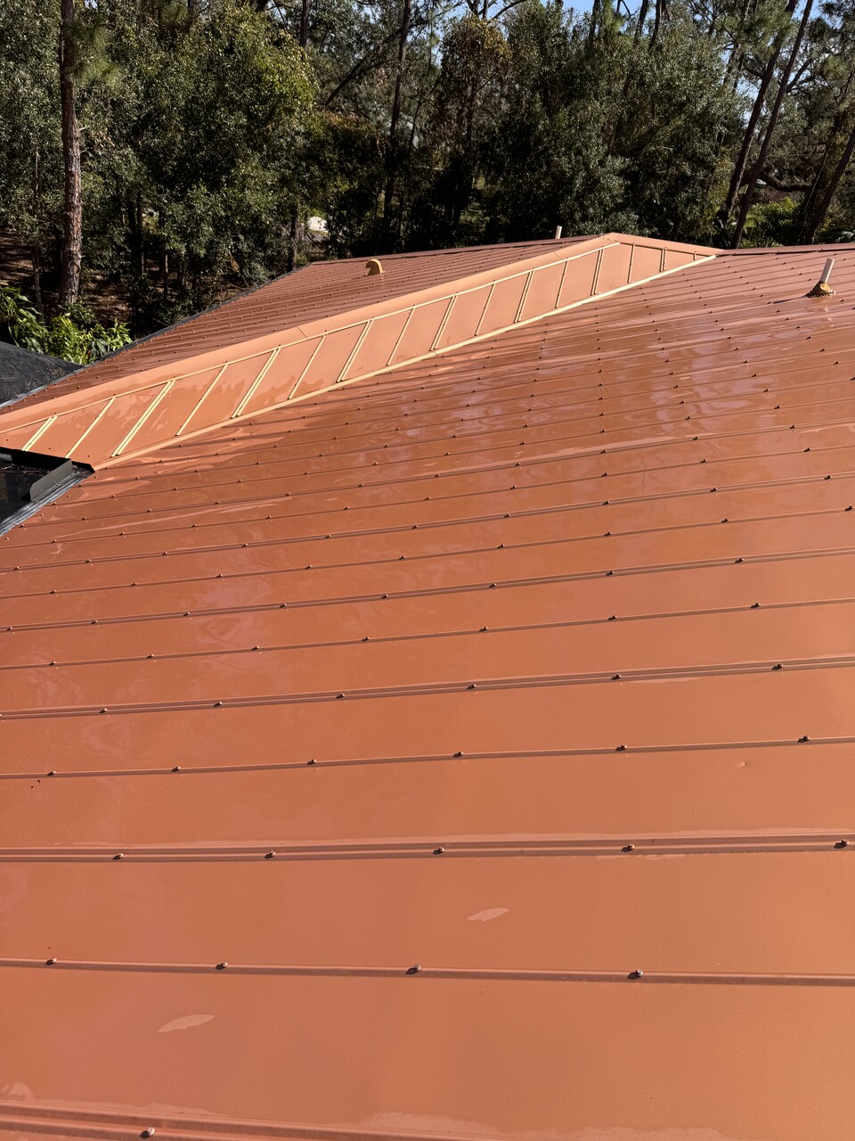 Window Hero Sarasota Image