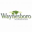 Waynesboro Nurseries