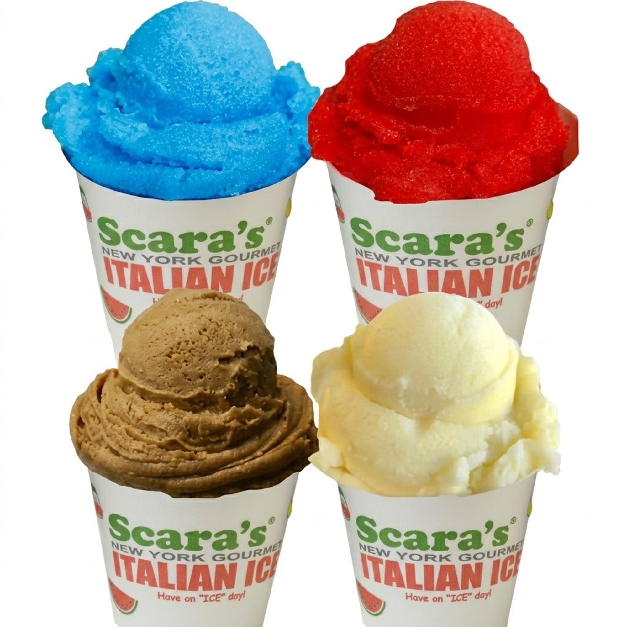 Gourmet Italian Ice