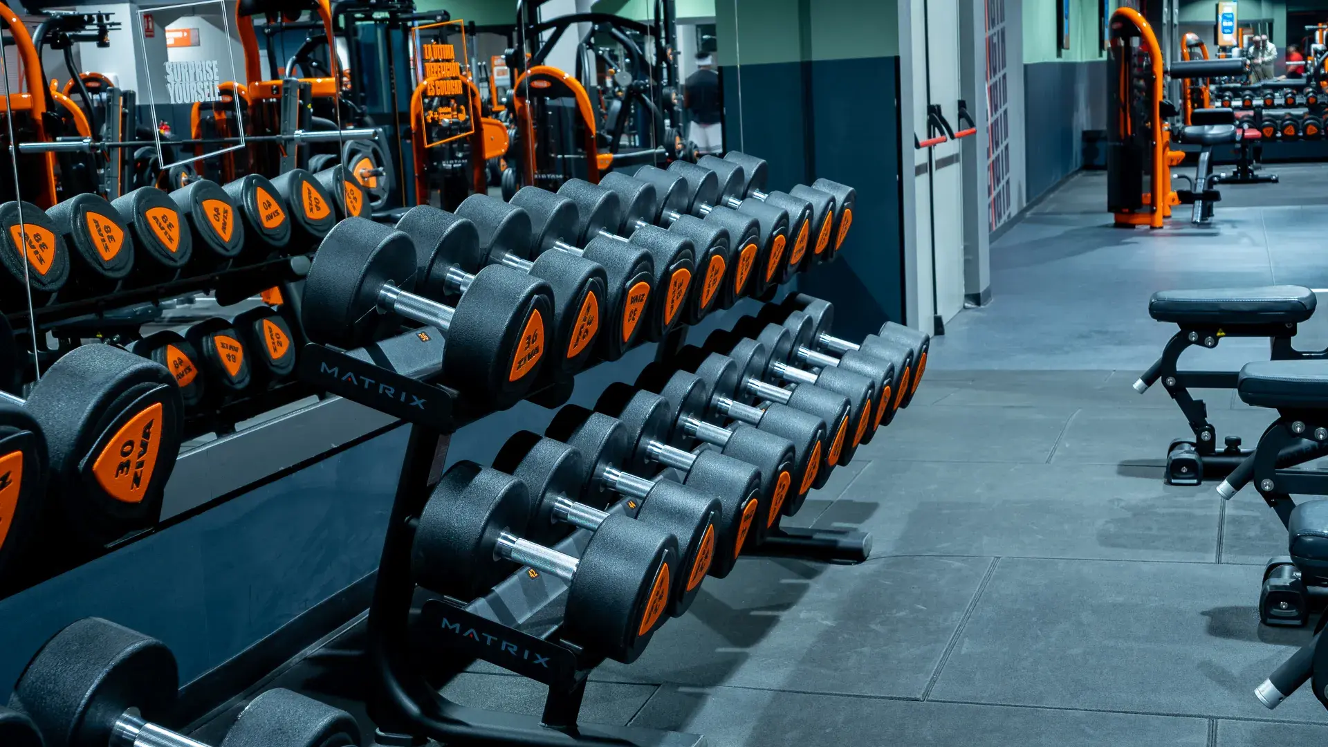 Galería en miniatura