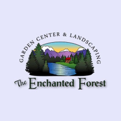 The Enchanted Forest