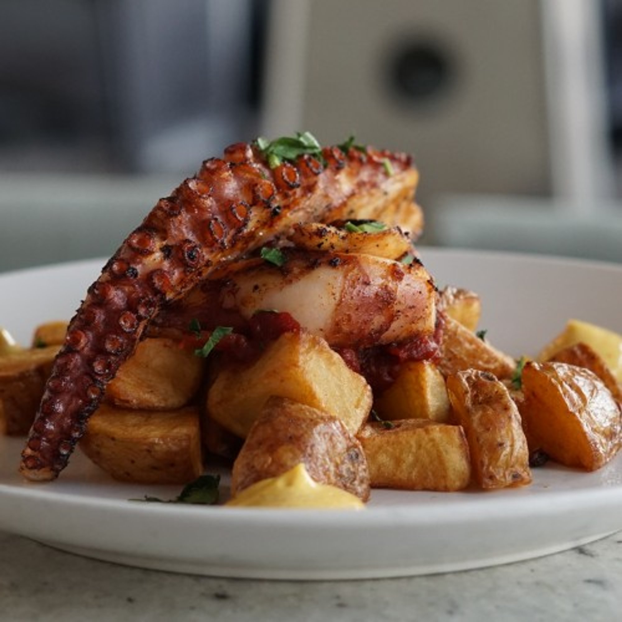 Grilled Octopus