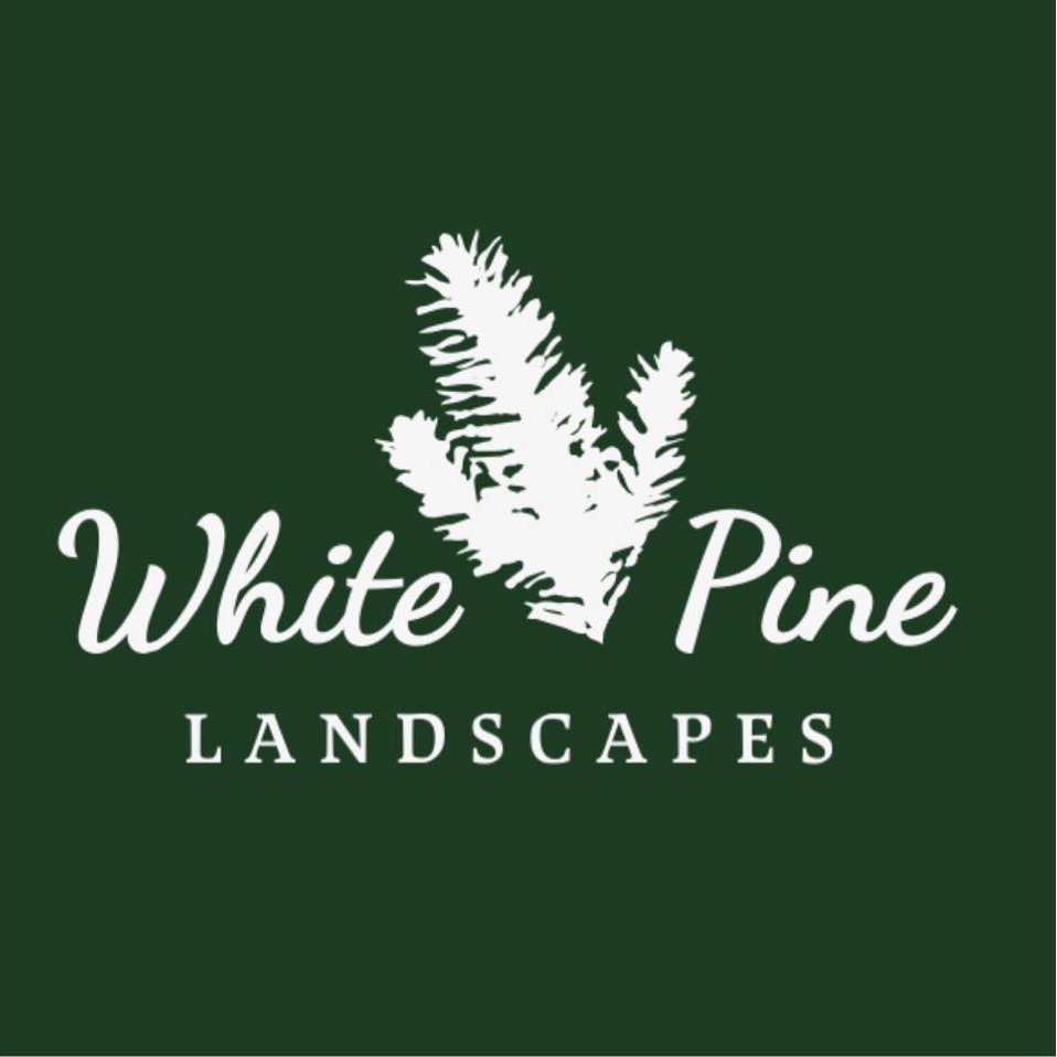 White Pine Landscapes Logo