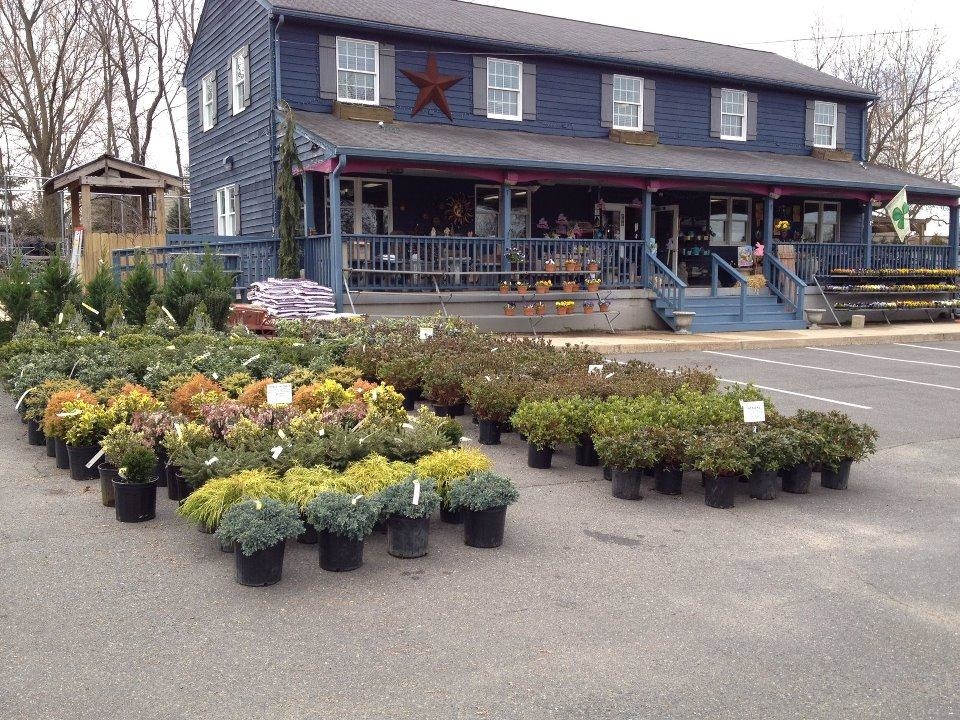 Blue Tree Garden Center Coupons near me in Norristown ...