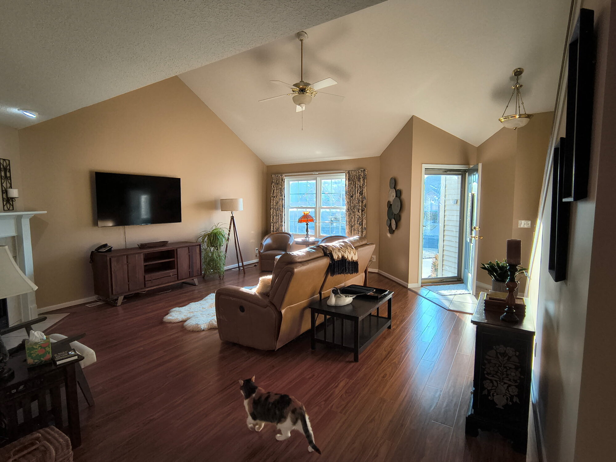 Sdo precision painting Image