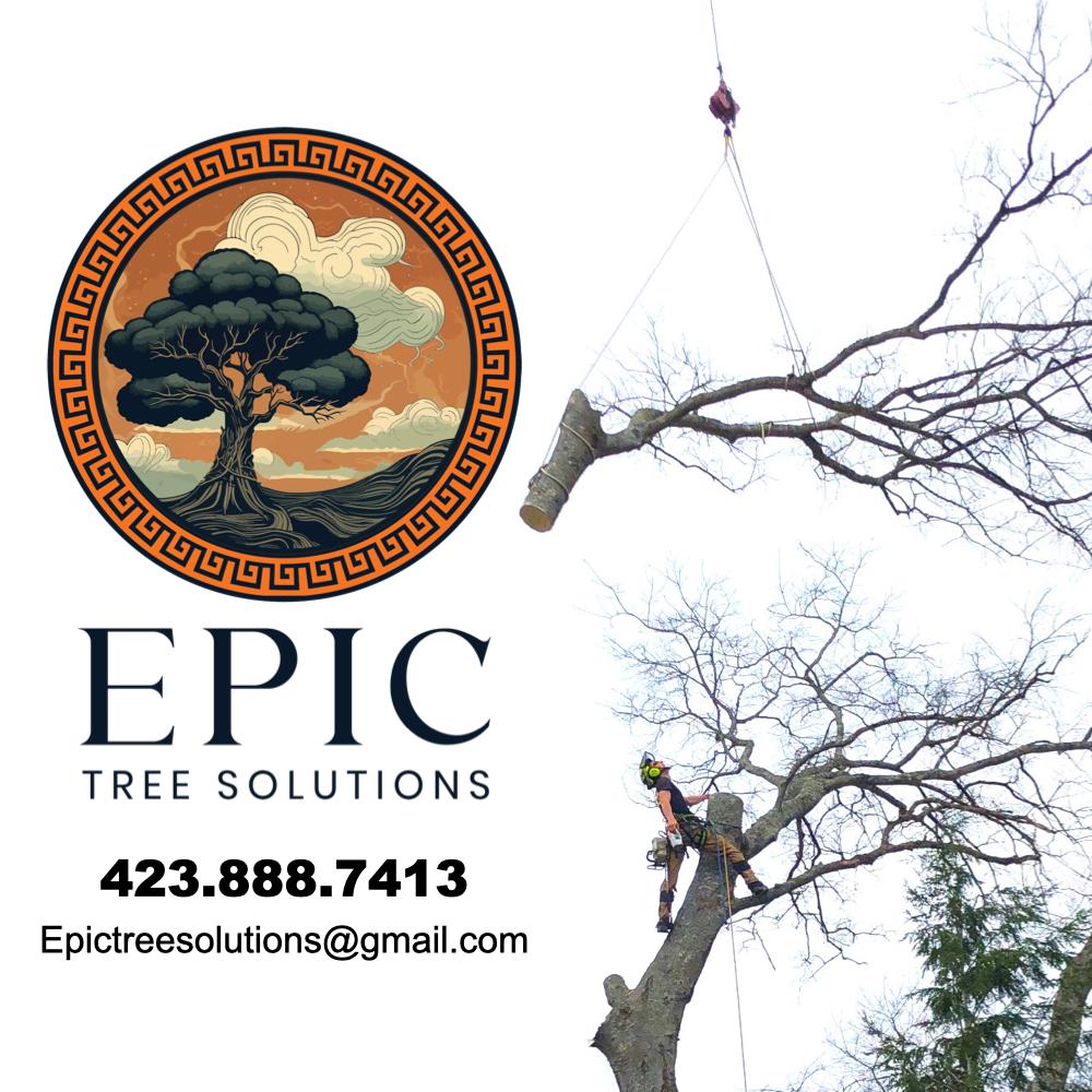 Epic Tree Solutions Image
